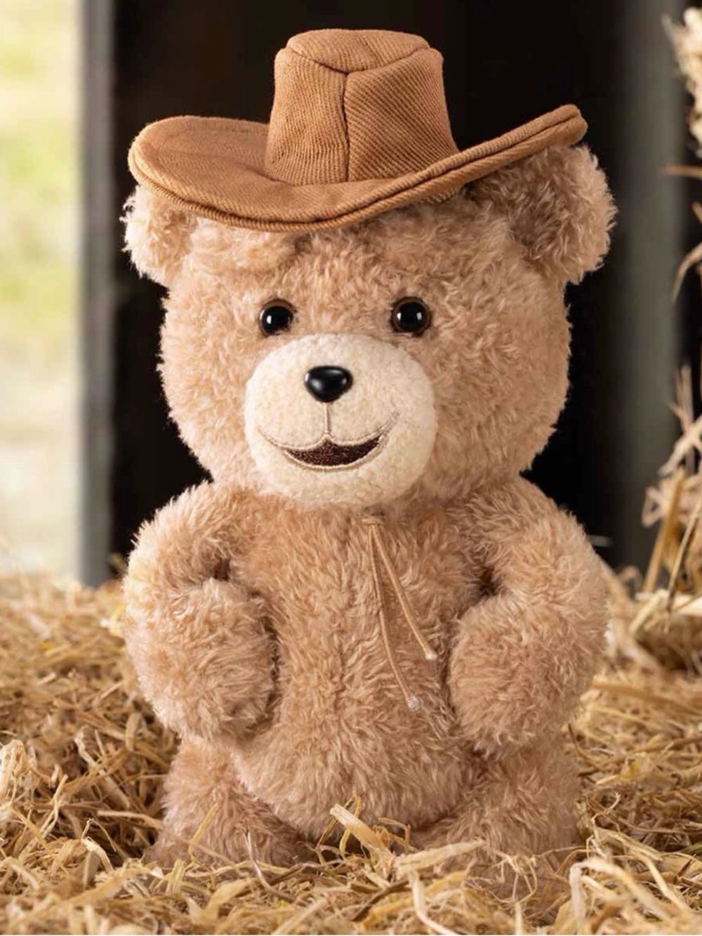 Pop Mart Ted2 Teddy Bear Action Plush Pendant - Cowboy Bear Bear